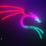 Best Kali Linux Tools for Beginners and Experts