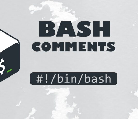 bash comments