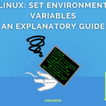 set environment variables